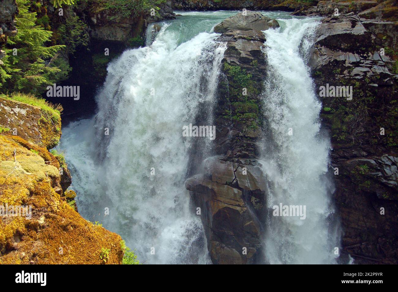 Nooksack Falls in Washingtion, USA Stockfoto