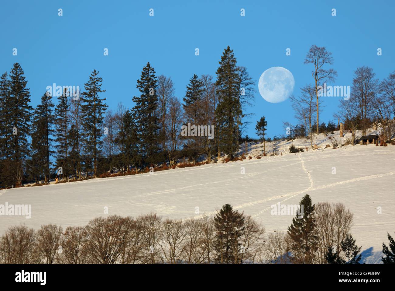 Winterlandschaft mit Schnee, Bäumen und Mond Stockfoto