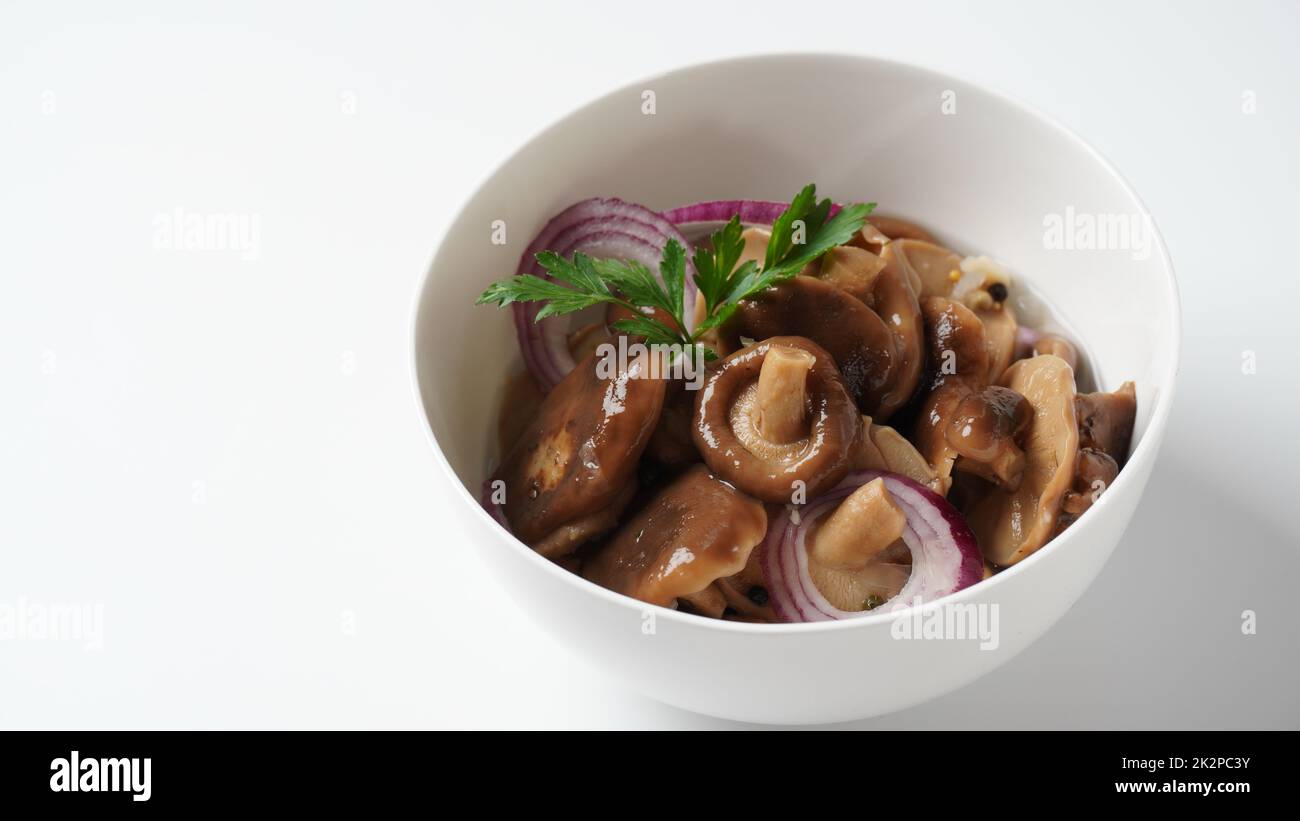 Gesalzene Pilze, Lactarius resimus, Herbsternte. Hausgemachte ...