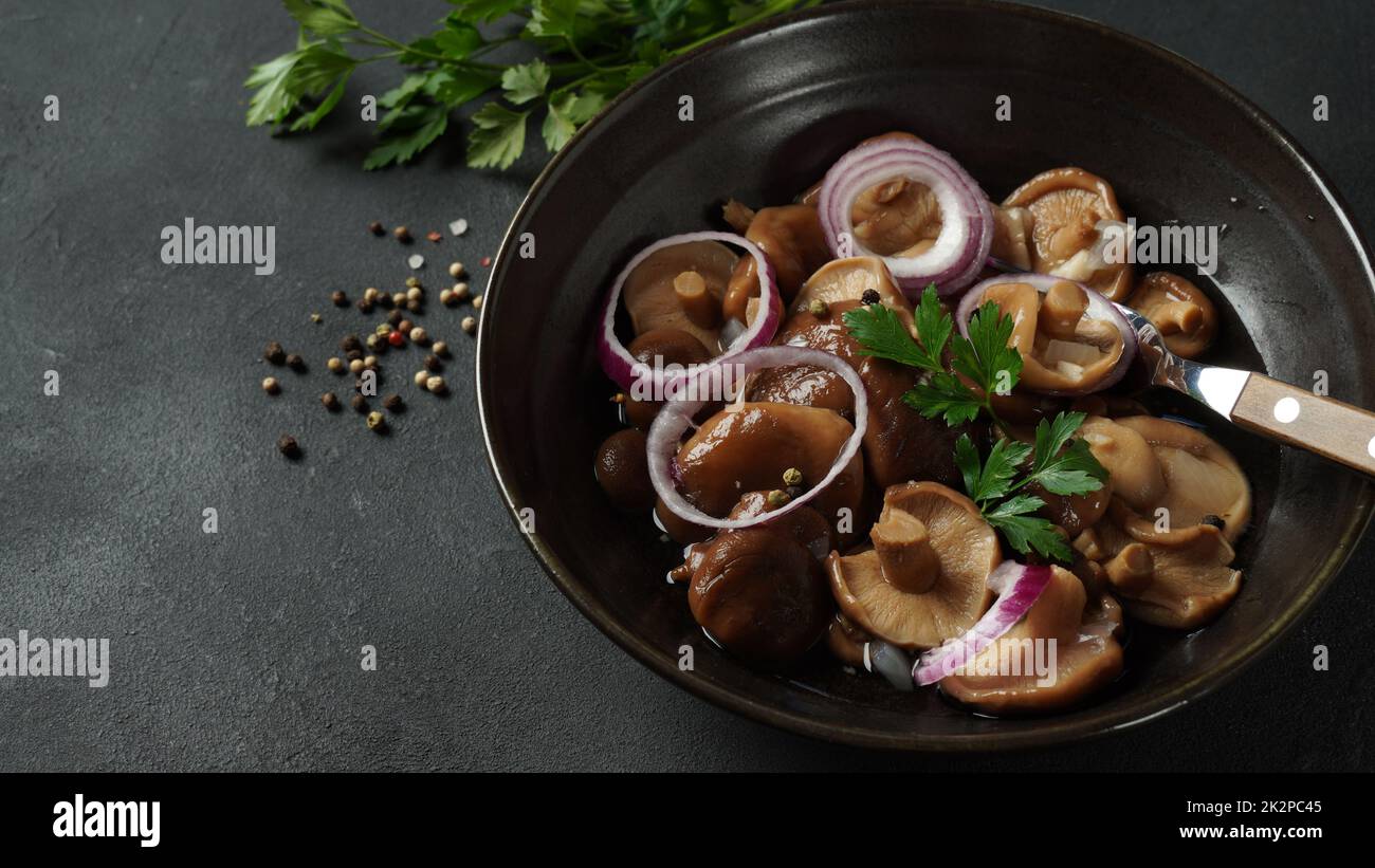 Gesalzene Pilze, Lactarius resimus, Herbsternte. Hausgemachte ...
