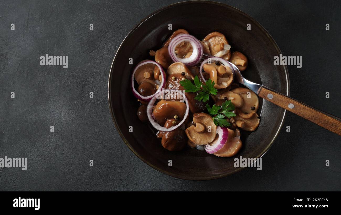 Gesalzene Pilze, Lactarius resimus, Herbsternte. Hausgemachte ...