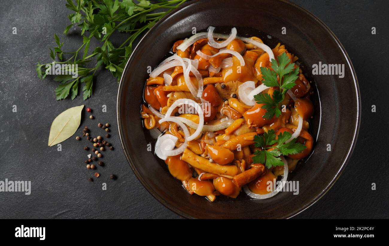 Marinierter Wildhonigpilz Armillaria mellea Pilze mit Gewürzen und Zwiebeln in der Schüssel. Stockfoto