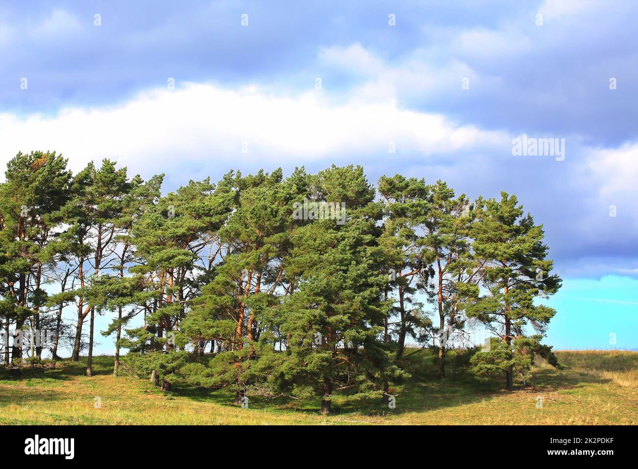 GroÃŸ Zicker Traumlandschaft auf der Ostseeinsel Rügen Stockfoto