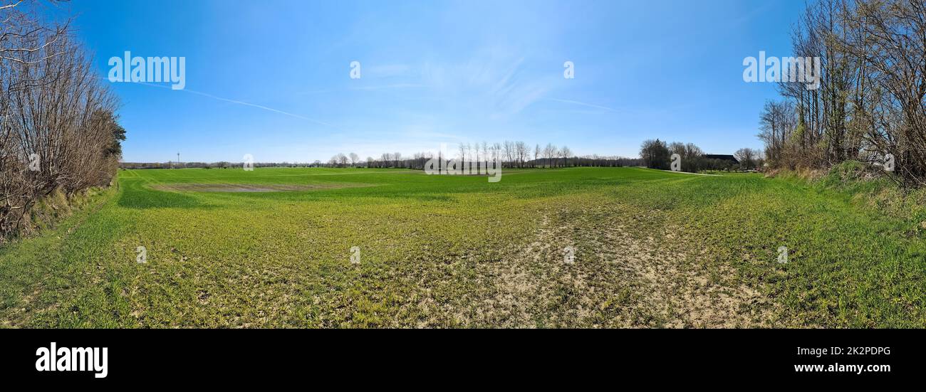 Panorama einer nordeuropäischen Landschaft mit Feldern und grünem Gras. Stockfoto