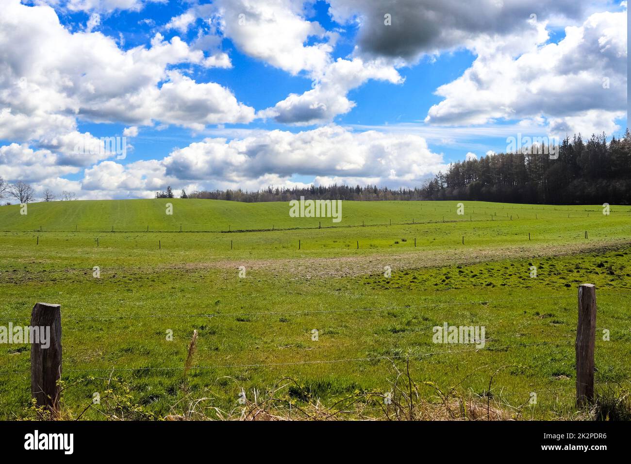 Panorama einer nordeuropäischen Landschaft mit Feldern und grünem Gras. Stockfoto