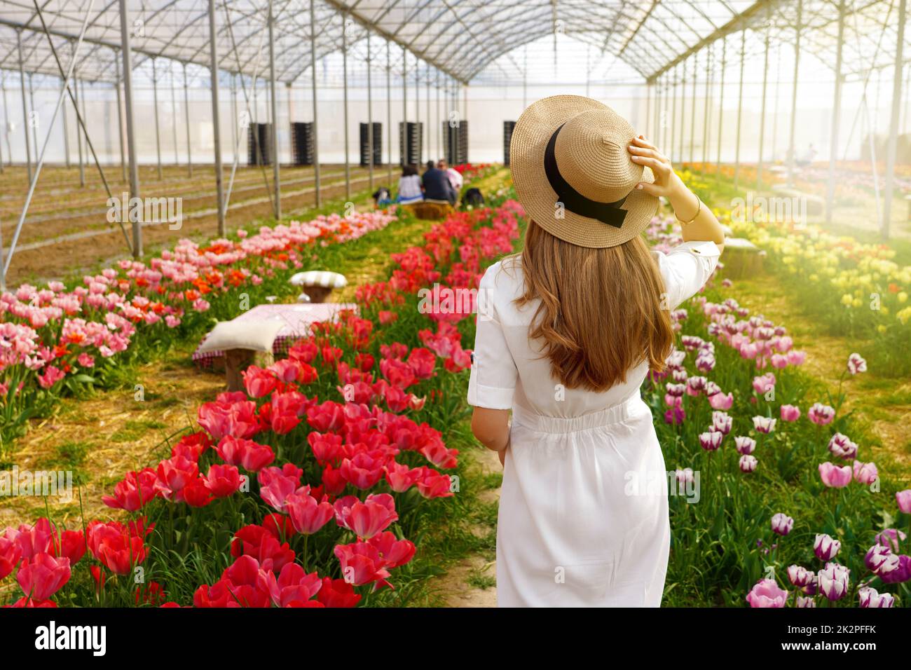 Schönes Mädchen hält Strohhut zu Fuß zwischen Blumen bereit für Picknick bei Sonnenuntergang. Rückansicht. Stockfoto