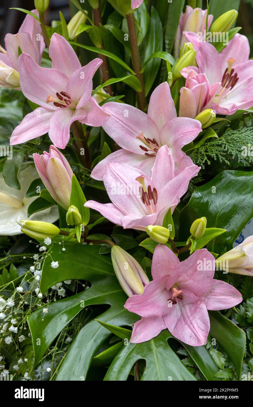 Hübsche Blumendekoration mit pinkfarbenen Lilienblumen Stockfoto