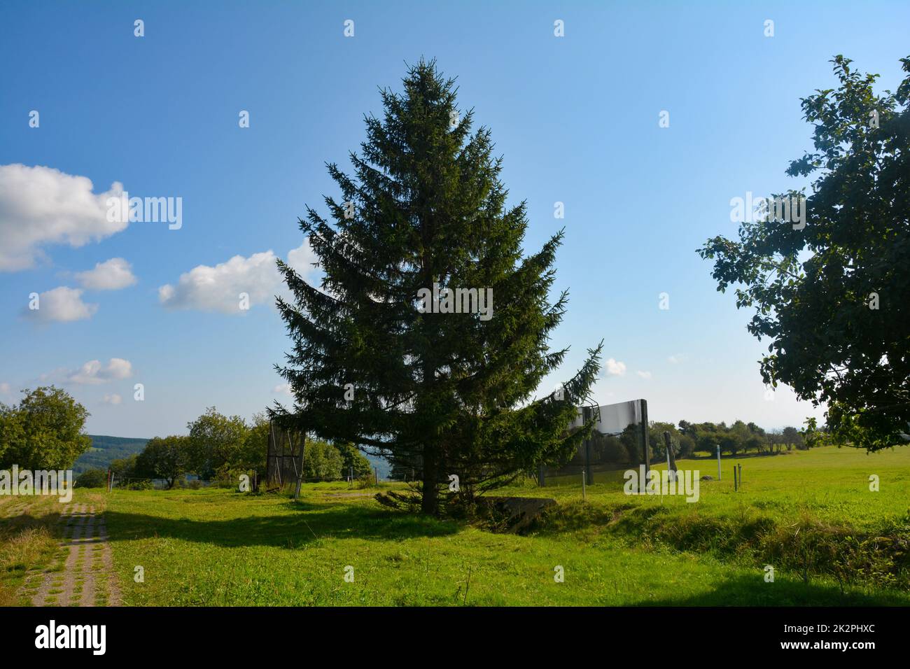 Teile eines alten Stacheldrahtzauns an einer ehemaligen DDR-Grenzbefestigung Stockfoto
