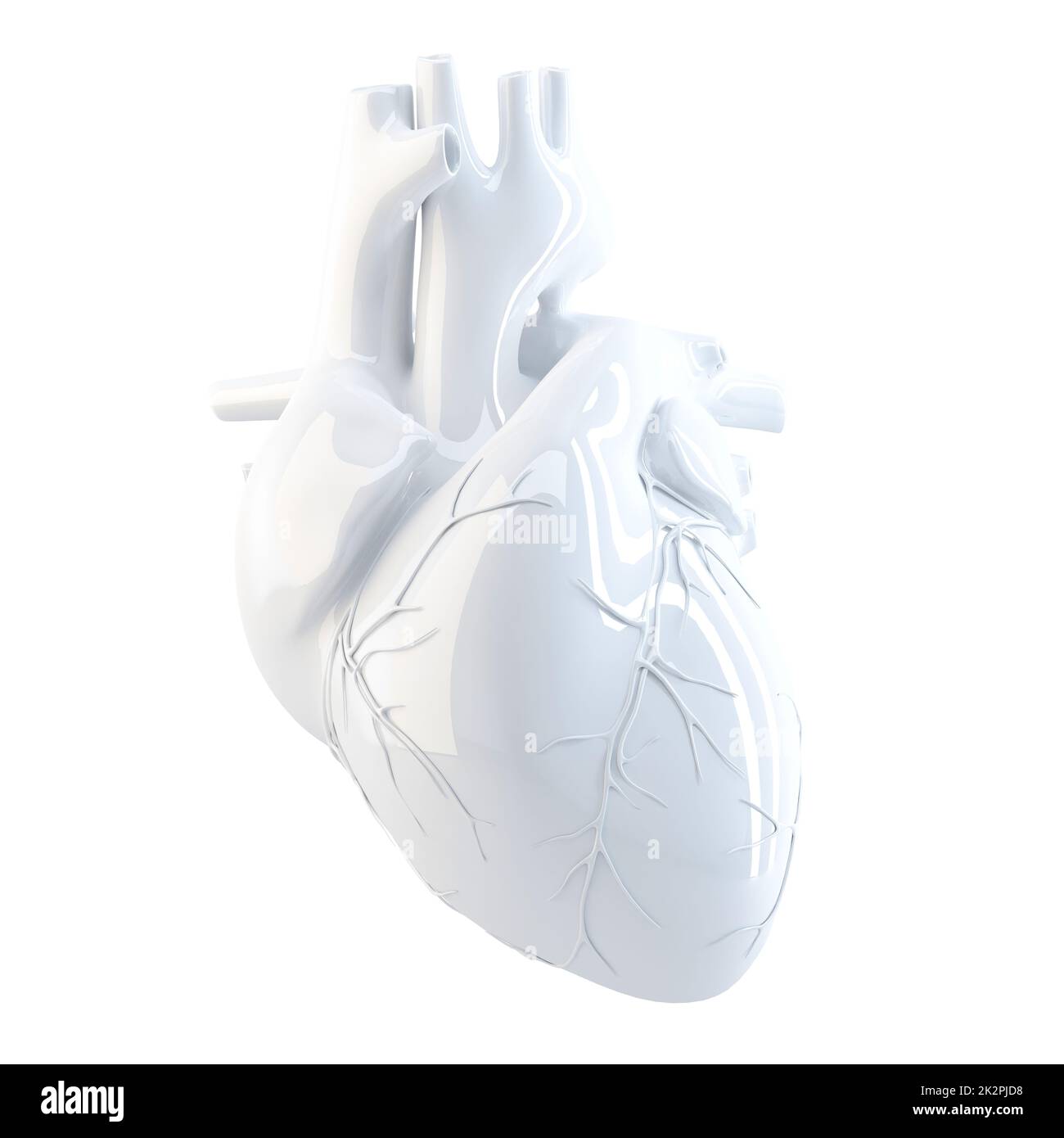 Menschliches Herz. 3D-Rendern. Isoliert, enthält Beschneidungspfad. Stockfoto
