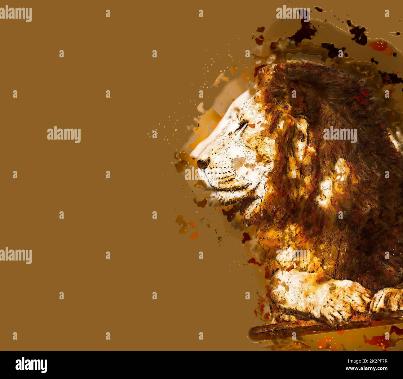 Löwen-Nahaufnahme-Porträt. Abstrakte Illustration von Bildmaterial. Enthält Beschneidungspfad Stockfoto