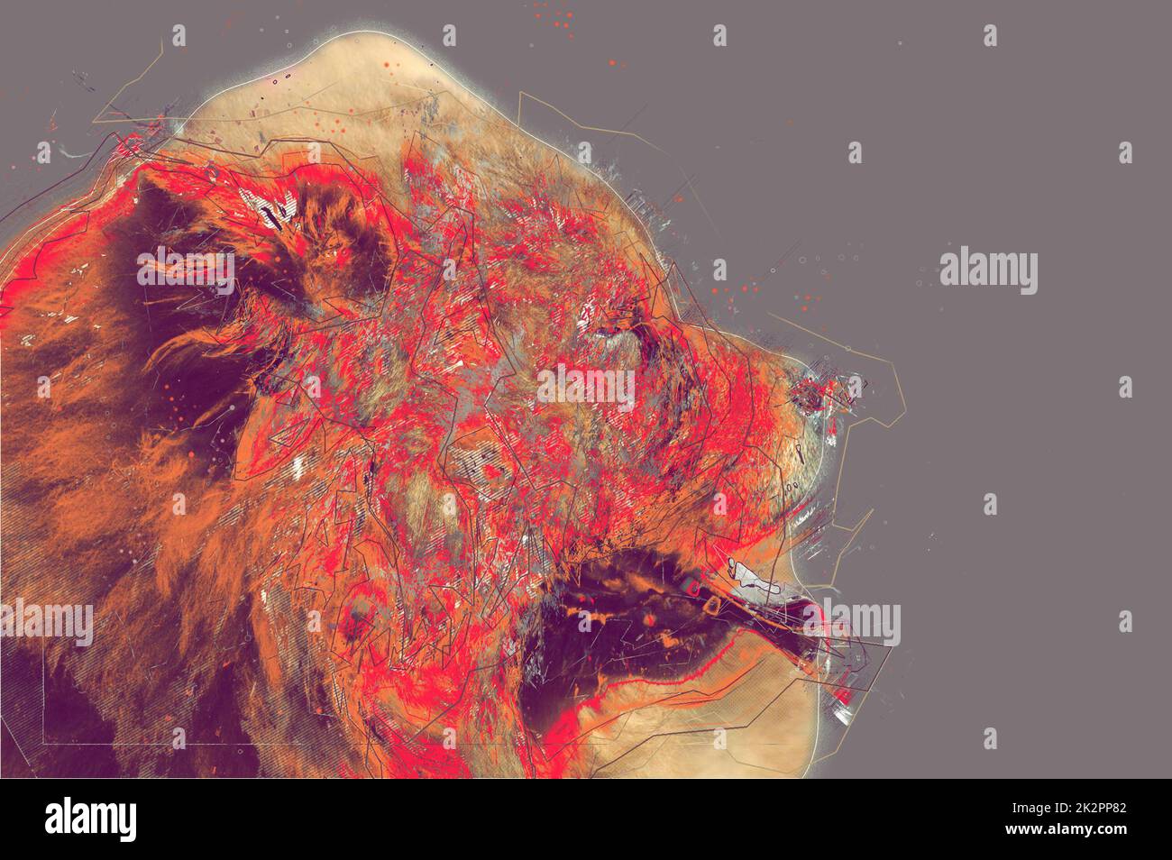 Das Porträt des Hundes Chow Chow. Abstraktes Bildmaterial Stockfoto