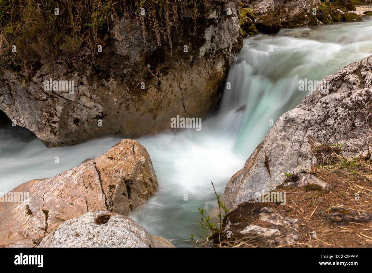 Im Zauberwald, Zauberwald, am Hintersee bei Ramsau, Berchtesgaden, Bayern, Deutschland, Stockfoto