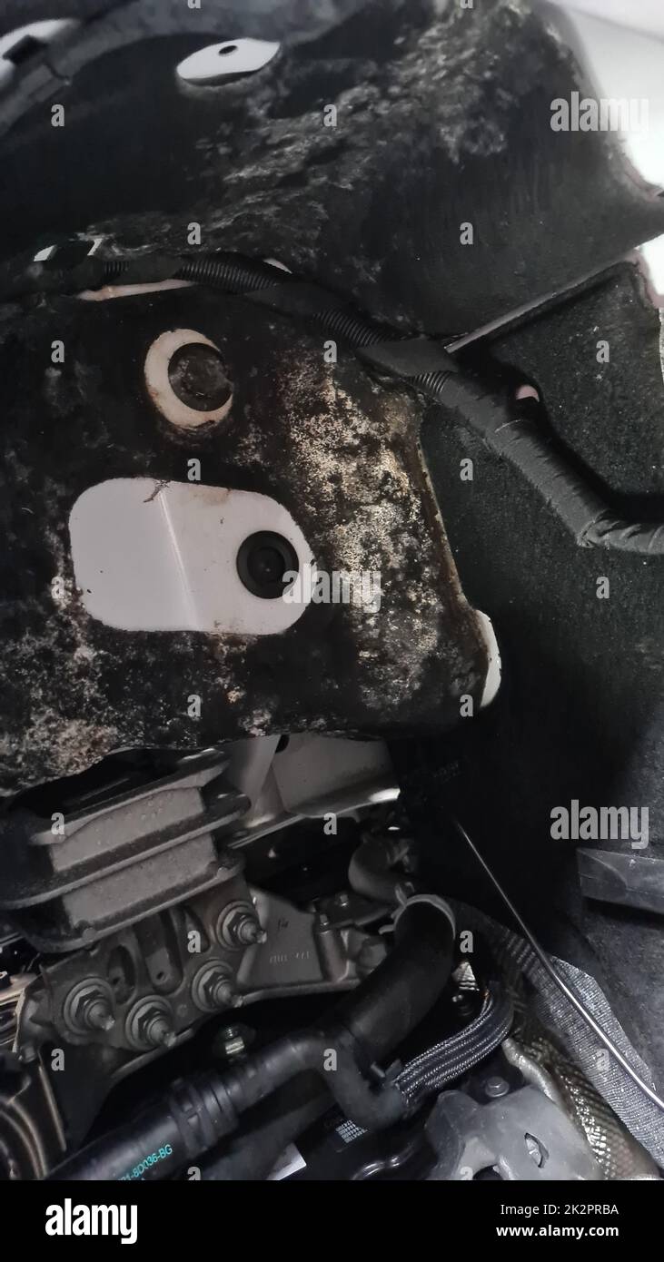Schimmel im Motorraum eines Wohnmobils Stockfoto