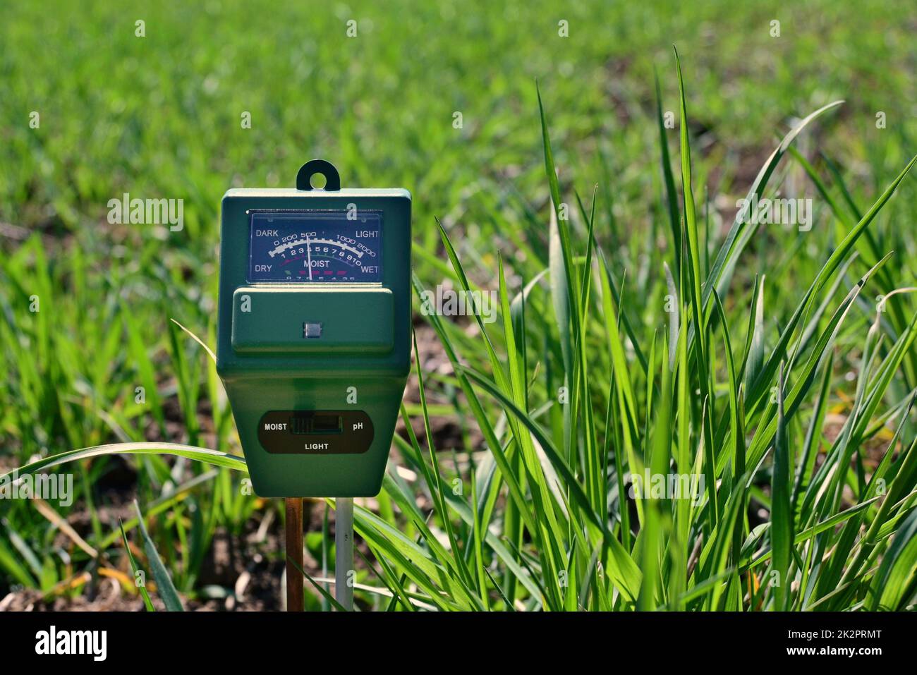 Prüfgerät für Bodenfeuchtigkeit, PH und Sonnenlicht in der Landwirtschaft Stockfoto