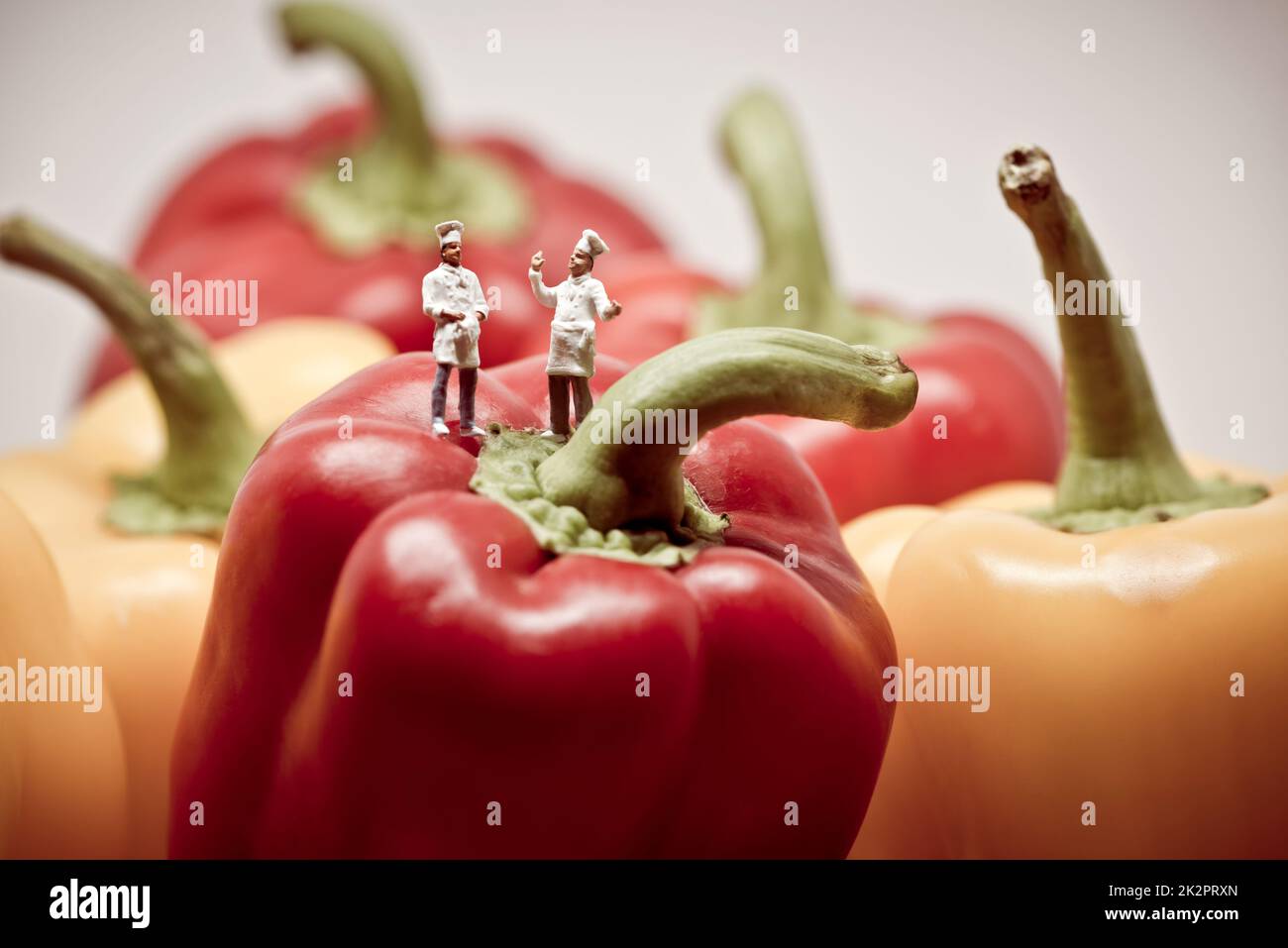 Zwei Köche debattieren über Paprika. Makrofoto Stockfoto