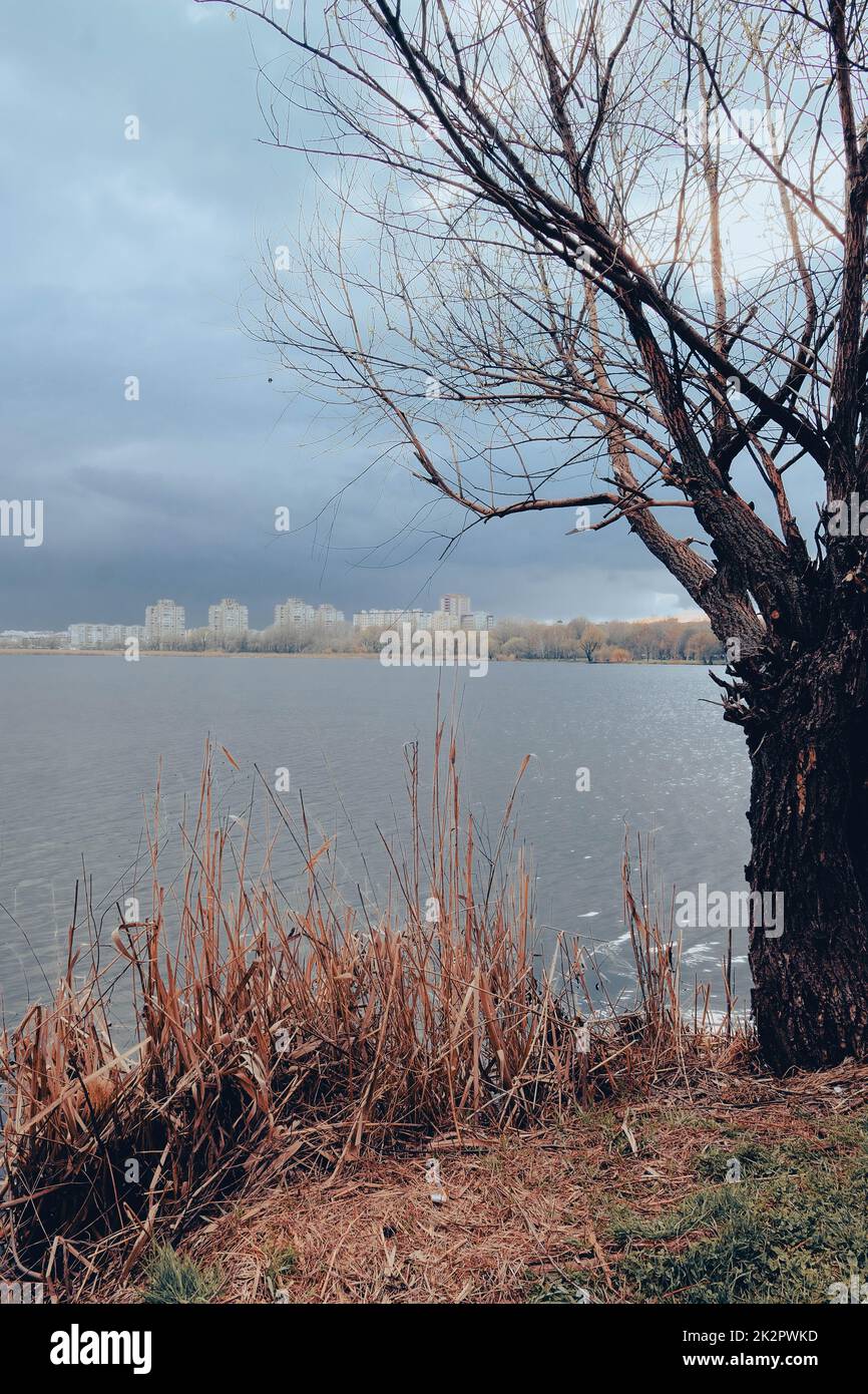 Wunderschöner Blick aus der Vogelperspektive auf Sumy und den Cheha-See. Wasserlandschaft mit Stadt an bewölkten Tagen mit alten Bäumen und Schilf Stockfoto