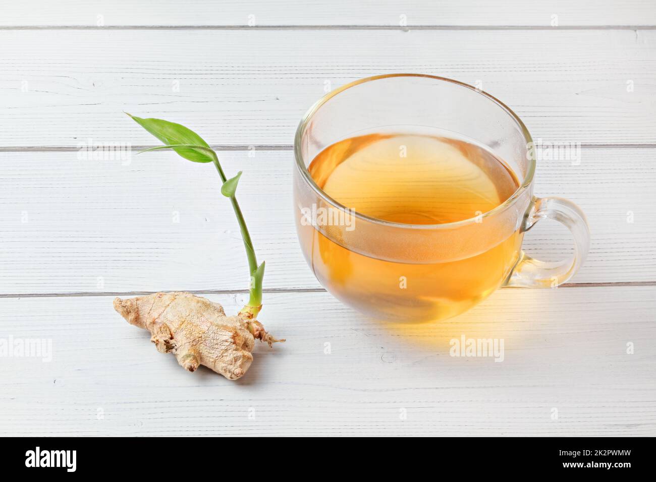 Tasse frisch gebrühten Bernstein Tee, heißer Dampf macht kleine nasse fällt auf Glas. Trockene Ingwer Wurzel mit grünen Neben es sprießen. Stockfoto