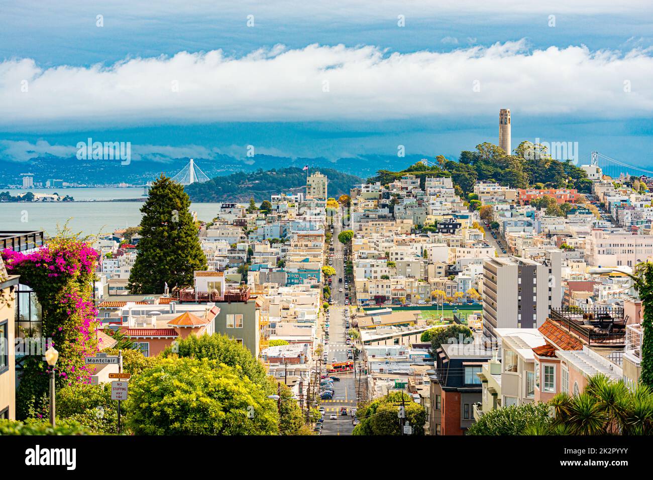 Blick auf die Stadt San Francisco mit Coit Tower Stockfoto