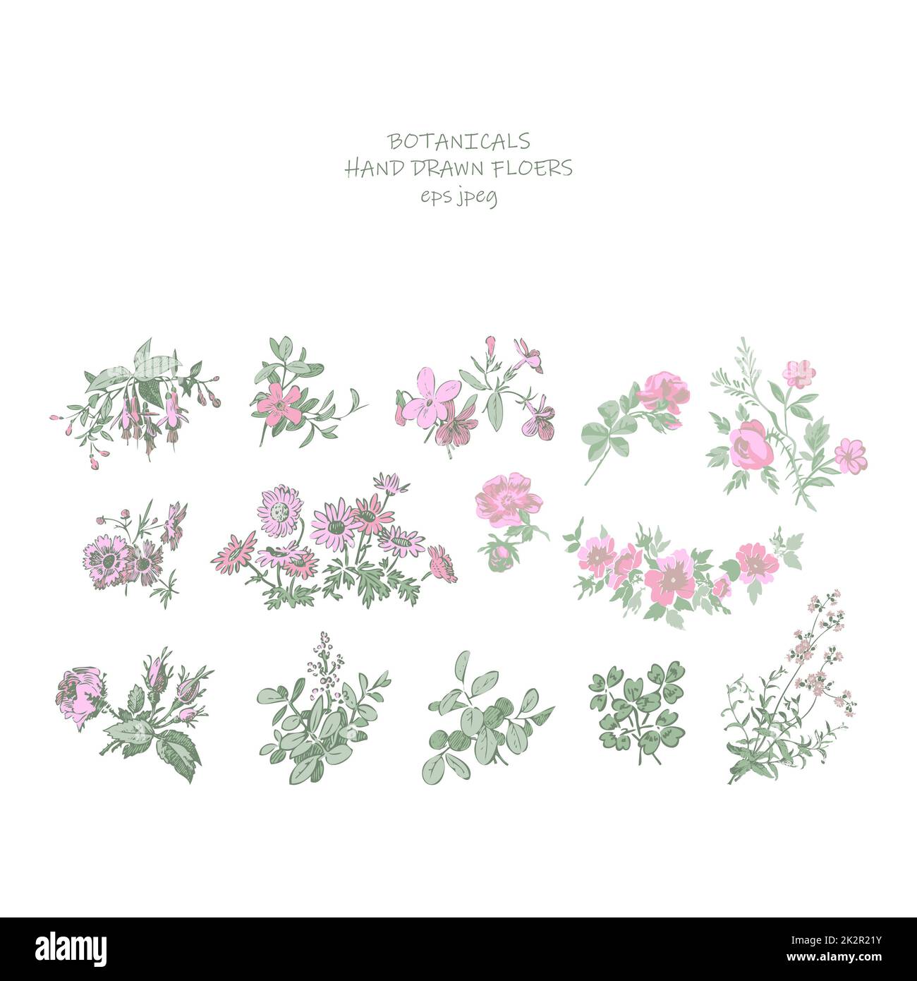 Hochzeitseinladungs-Blumenset. Fuchsia Rose Chrisanthemum und Wildblumen in Pastelltönen. Stiele, Blätter, Blumen auf weißem Hintergrund. Vektordarstellung, Druck, Grußkarte, Logo, Branding-Design Stockfoto