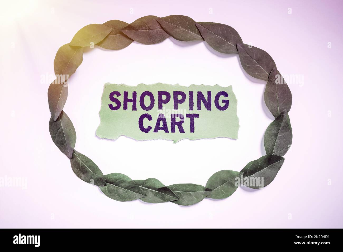 Textunterschrift mit Darstellung des Einkaufswagens. Internet Concept Case Trolley mit Lebensmittel und Merchandise Stockfoto