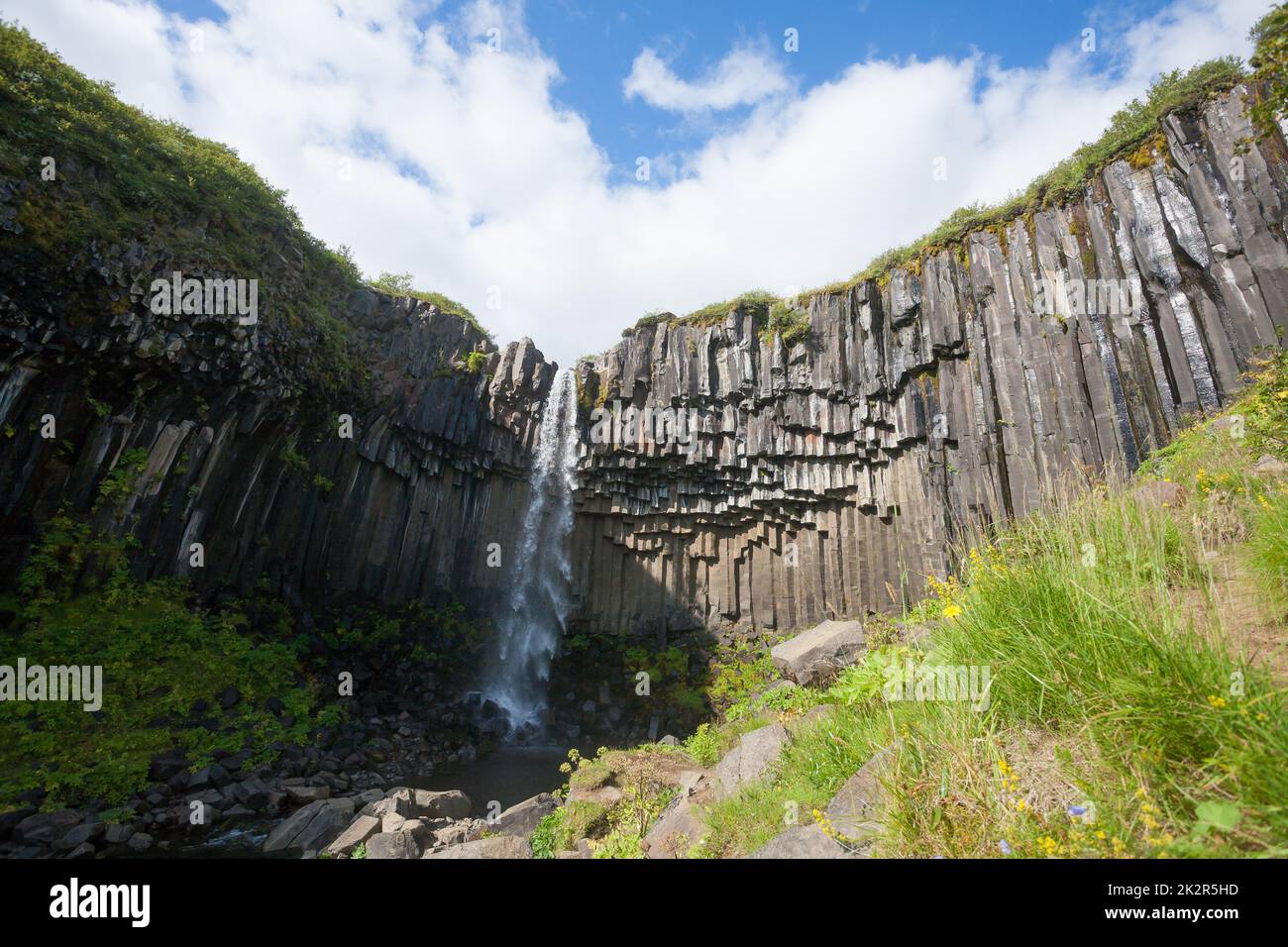 Svartifoss fällt in der Sommersaison Ansicht, Island Stockfoto