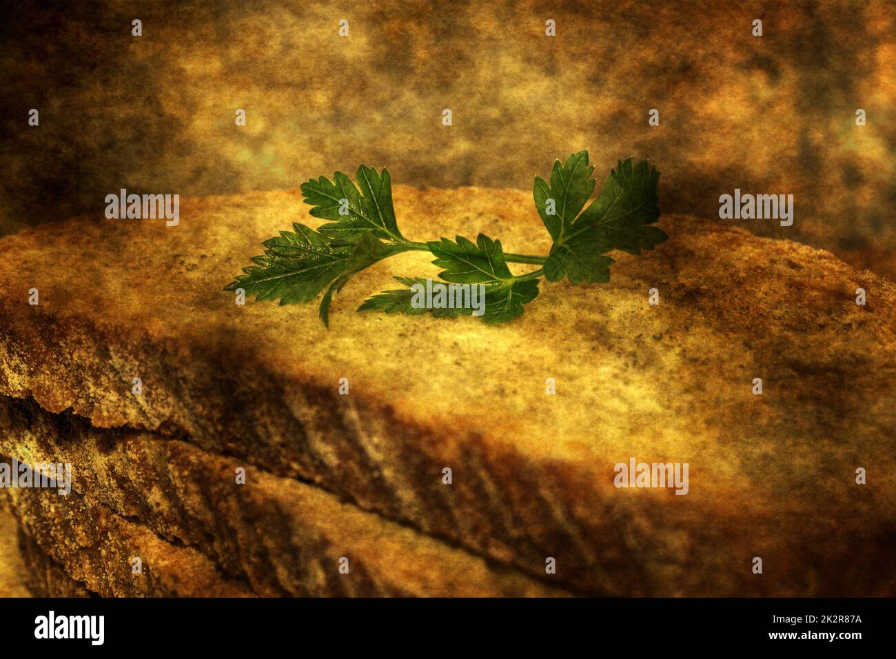 Vollkornbrot-Grunge-Konzept Stockfoto