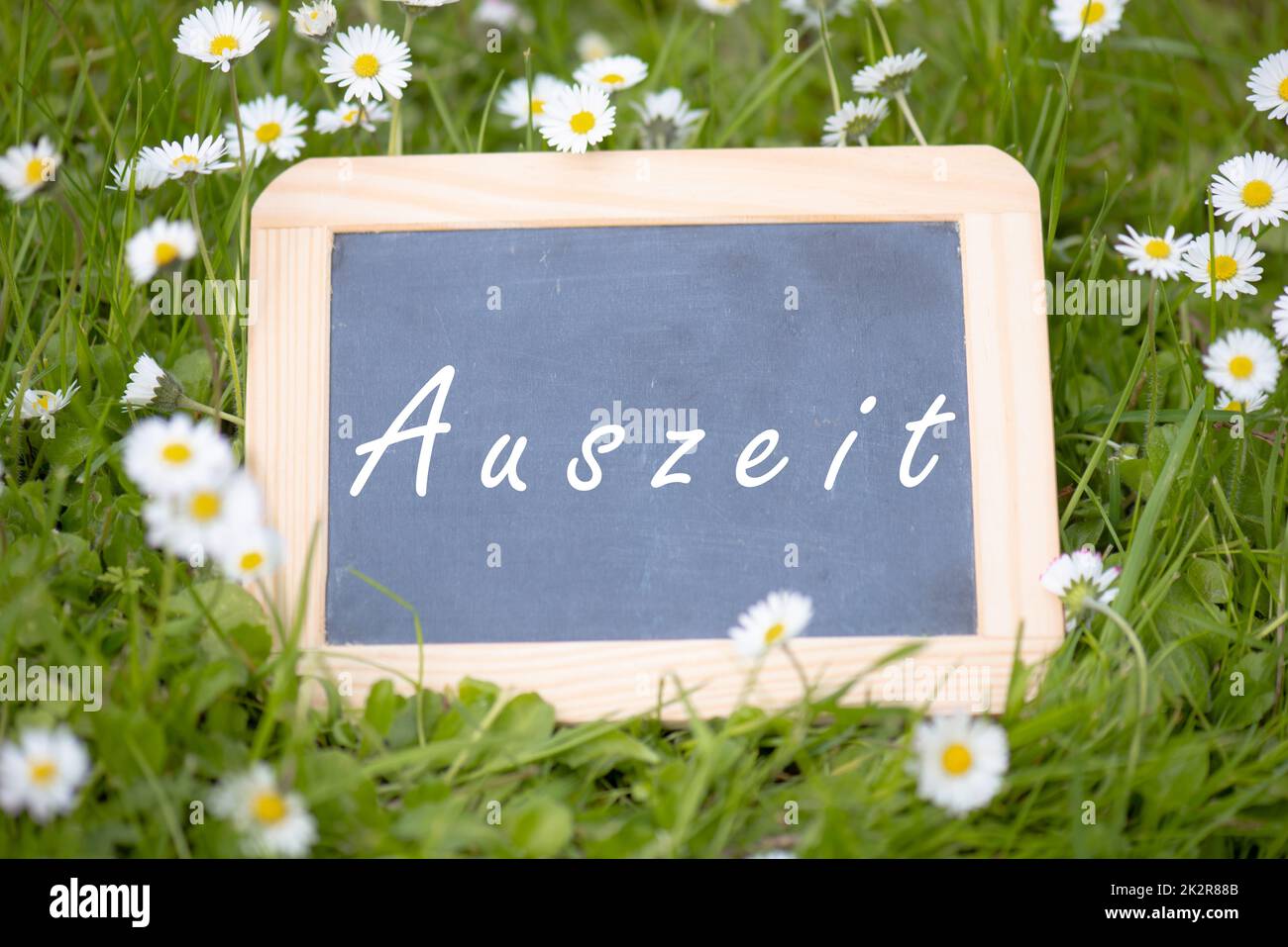 Kreidetafel mit dem Wort Auszeit, steht die deutsche Sprache mit Gänseblümchen auf der Wiese und macht Urlaub, Frühling und Sommer Stockfoto
