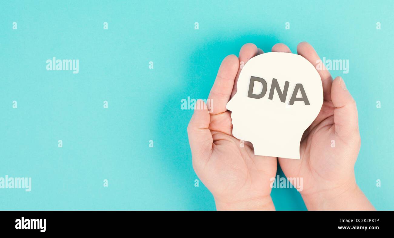 Den Kopf mit dem Wort DNA halten, Gentherapie und Behandlung, Biotechnologie in der modernen Medizin, Gesundheitswesen Stockfoto