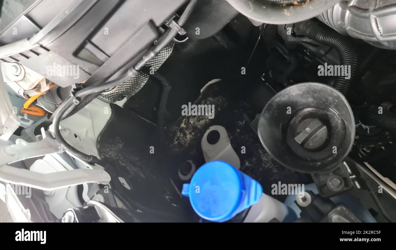 Schimmel im Motorraum eines Wohnmobils Stockfoto