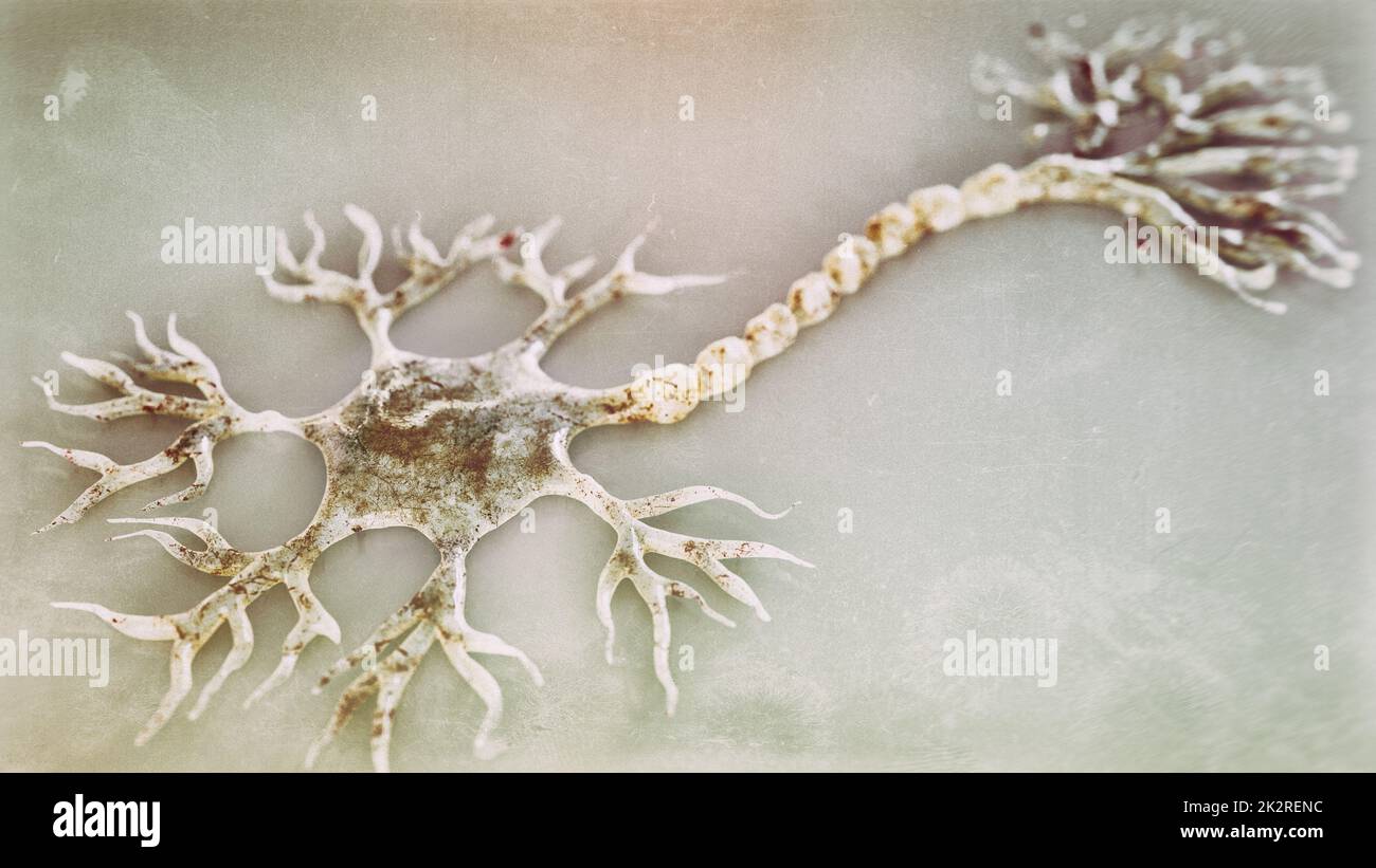 Nervenzelle unter dem Mikroskop als 3D-Rendering Stockfoto