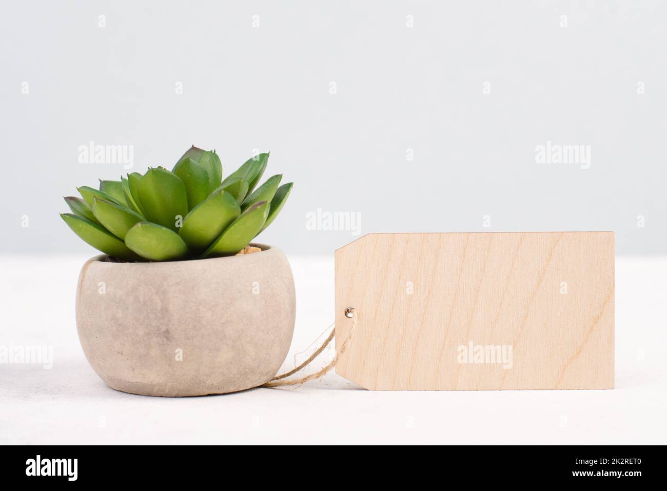 Kaktus mit leerem Etikett für Text, in einem Topf auf grauem Hintergrund, minimalistische Dekoration, Pflanze am Schreibtisch, modernes Zuhause, Grußkarte Stockfoto