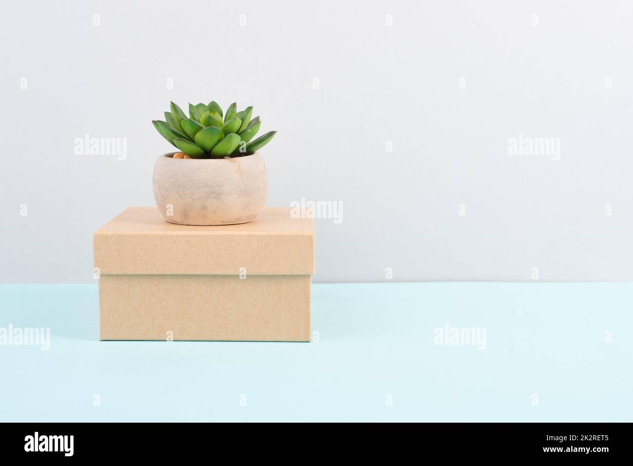 Kaktus in einem Topf, der auf einer Geschenkbox steht, minimalistische Dekoration, Pflanze am Schreibtisch, Platz für Text, modernes Zuhause, Homeoffice Stockfoto