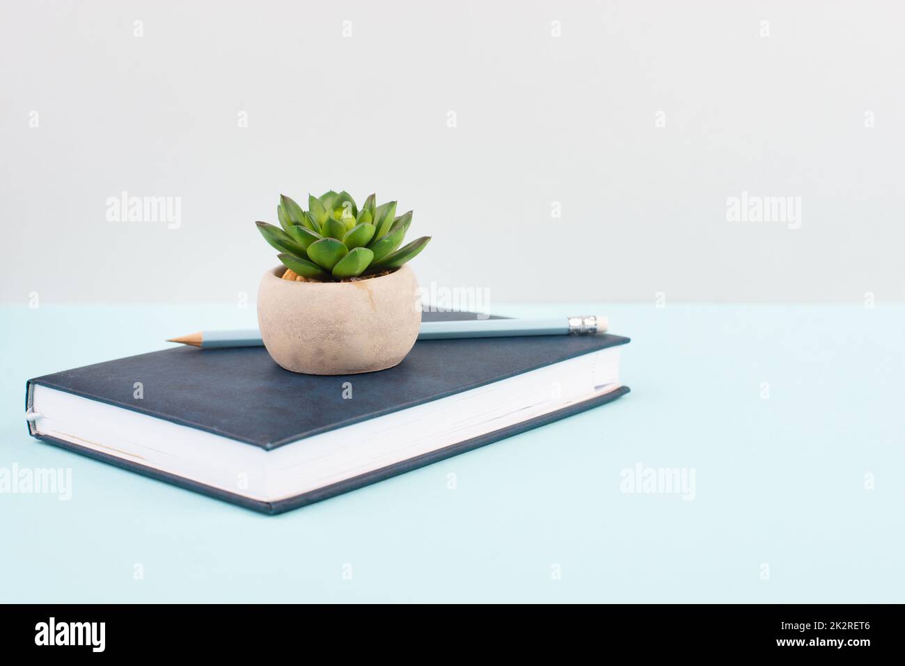 Kaktus in einem Topf auf blauem und grauem Hintergrund, minimalistische Dekoration, Pflanzenständer auf einem Buch am Schreibtisch, Kopierraum für Text, modernes Zuhause Stockfoto
