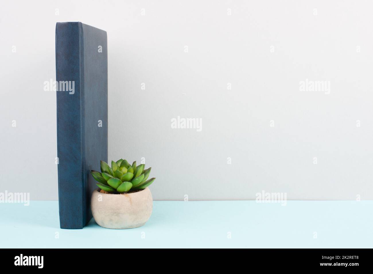 Kaktus in einem Topf auf blauem und grauem Hintergrund, minimalistische Dekoration, Pflanzen stehen neben einem Buch am Schreibtisch, Kopierraum für Text, modernes Zuhause Stockfoto