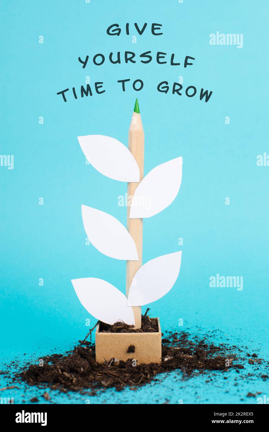 Pflanze aus einem Bleistift und Papier, der Satz geben Sie sich Zeit zu wachsen steht auf der Oberseite, Motivation, Bildung und Geschäftskonzept Stockfoto