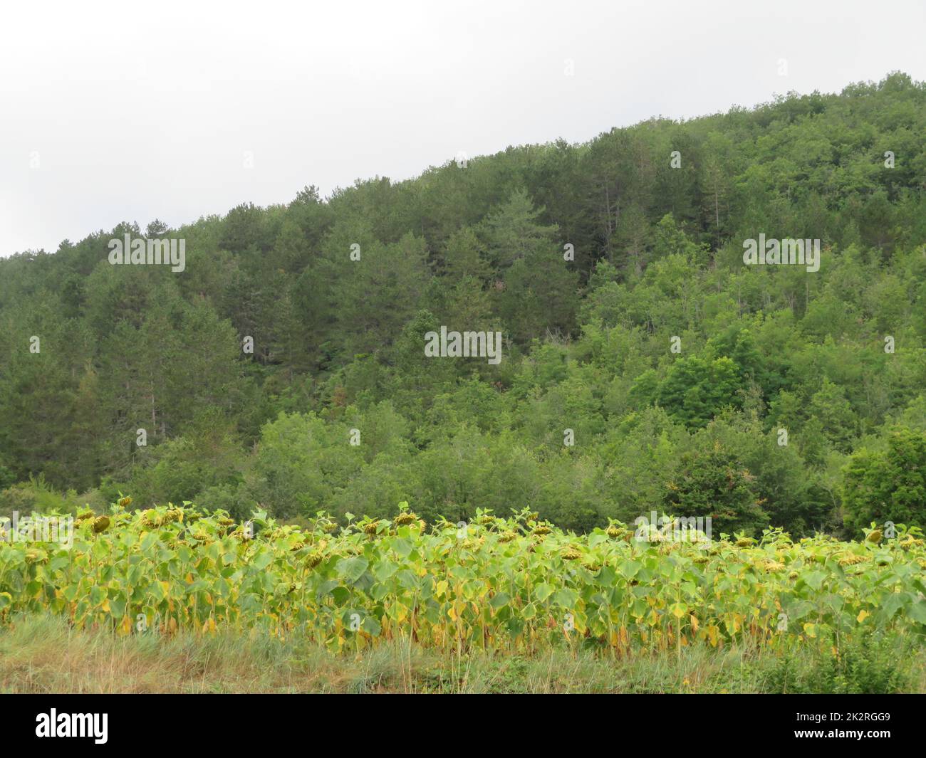 Wunderschöne Berglandschaft Himmel Felsen Pflanzen Horizont abgelegene Pracht Stockfoto