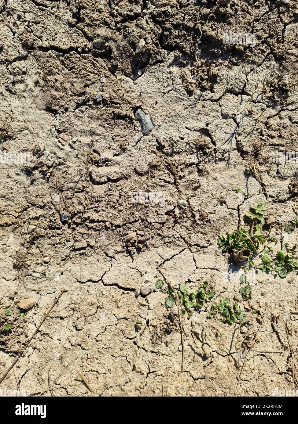 Nahaufnahme auf trockenem landwirtschaftlichen Ackerland mit Rissen und Raupenketten – Hintergrund Landwirtschaft. Stockfoto