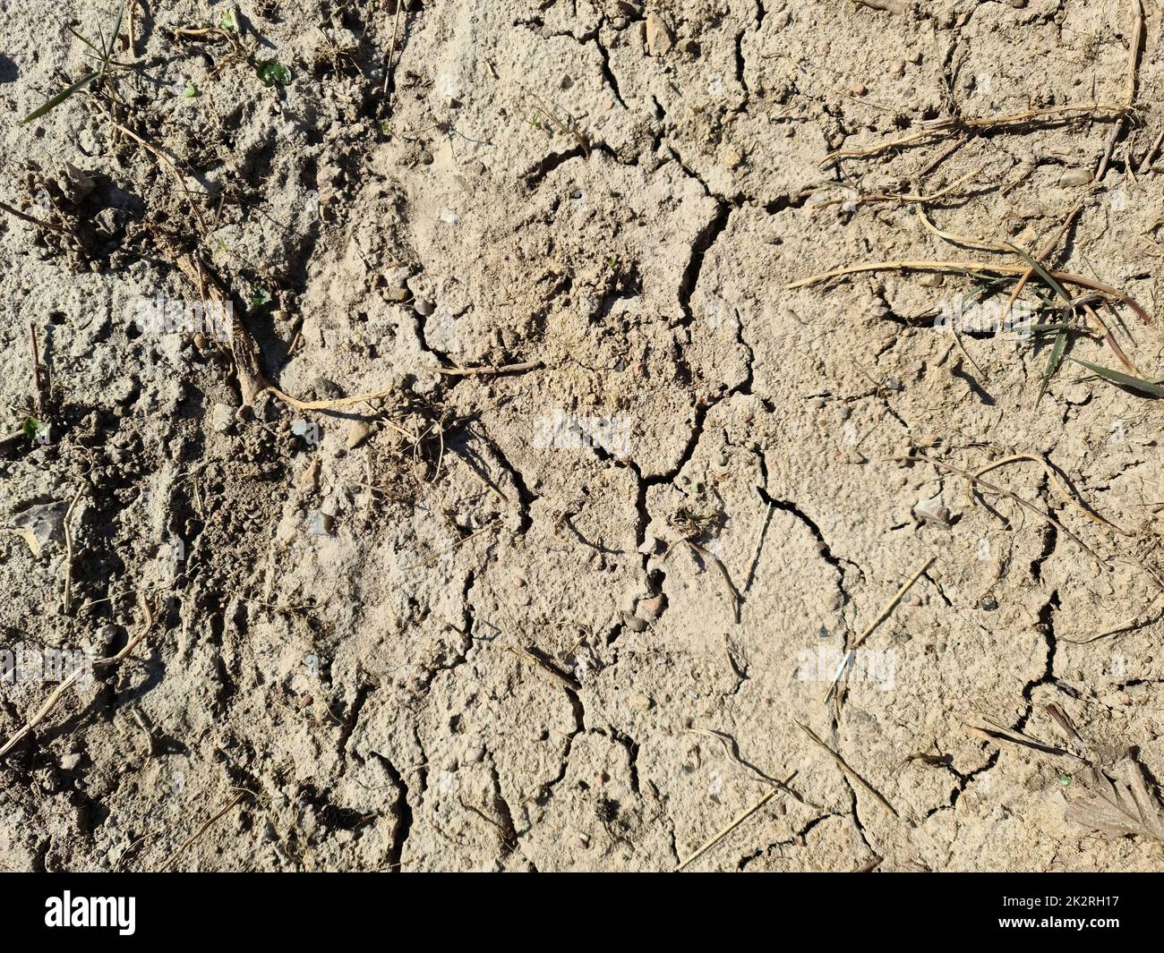 Nahaufnahme auf trockenem landwirtschaftlichen Ackerland mit Rissen und Raupenketten – Hintergrund Landwirtschaft. Stockfoto