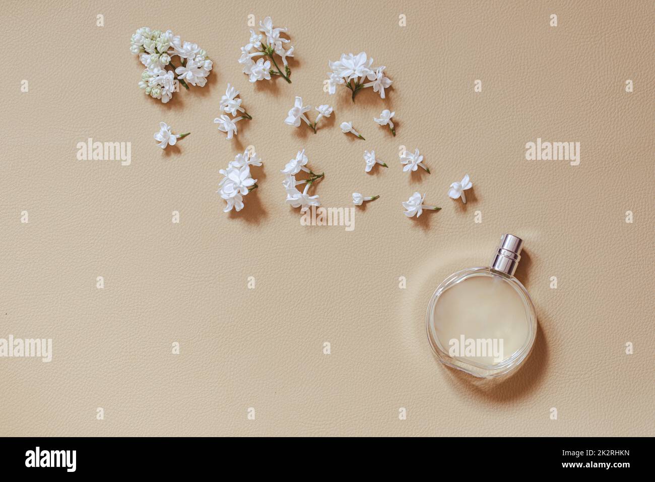 Parfümerie- und Blumenduft-Konzept. Stilvolle Flasche Parfüm mit Fliederblüten auf beigefarbenem Hintergrund. Kreatives, trendiges flaches Design mit Platz für Text. Stockfoto
