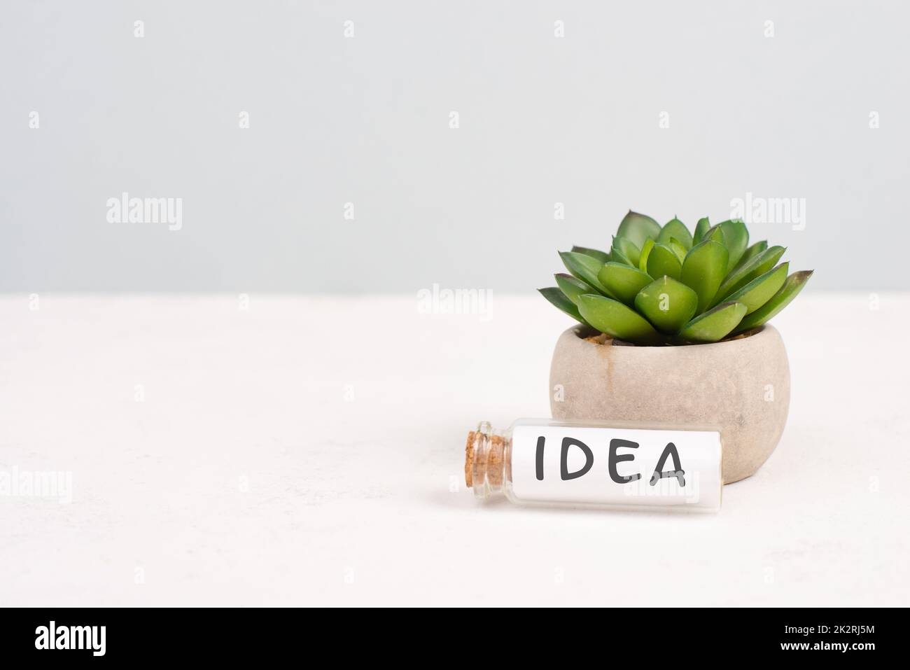 Kaktus mit dem Wort „Idee“ auf einer Flasche, grauer Hintergrund, minimalistischer Schreibtisch, Brainstorming für ein Start-up, Kreativität Stockfoto