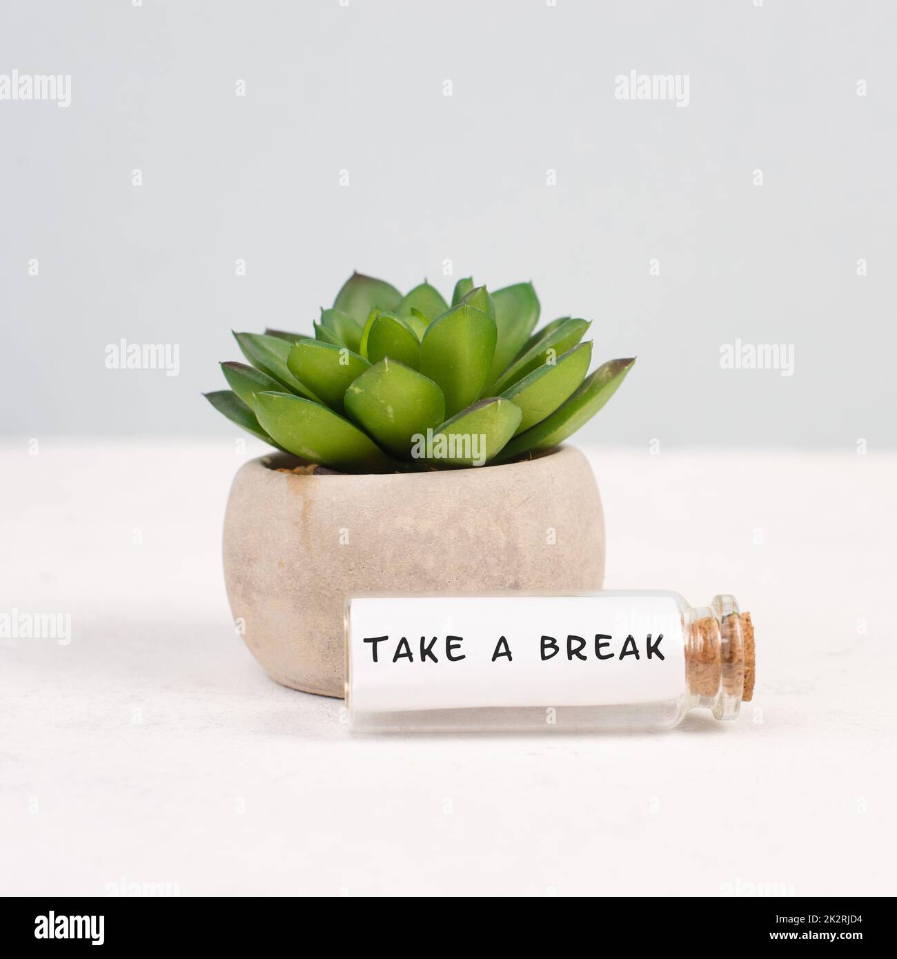 Kaktus in einem Topf auf grauem Hintergrund, Glasflasche mit dem Spruch, machen Sie eine Pause, Pflanzen Sie am Schreibtisch Stockfoto