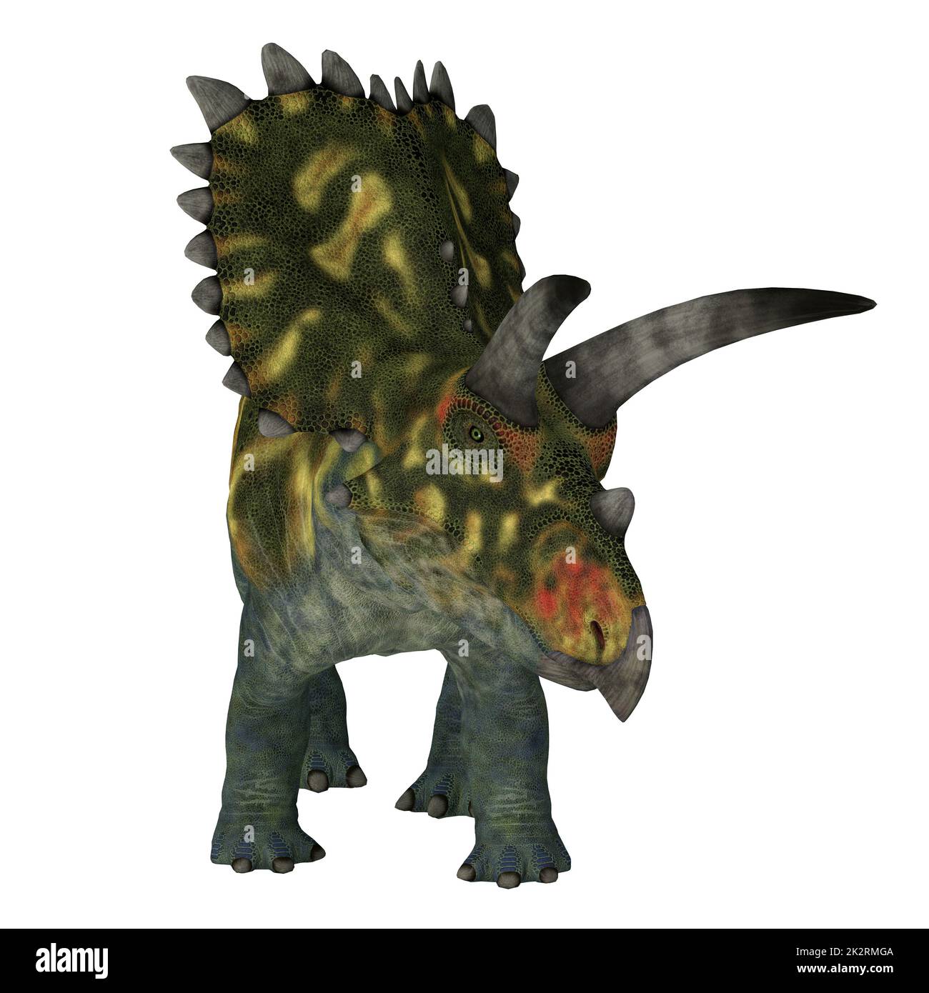 Coahuilaceratops Ceratopsian Dinosaur Stockfoto
