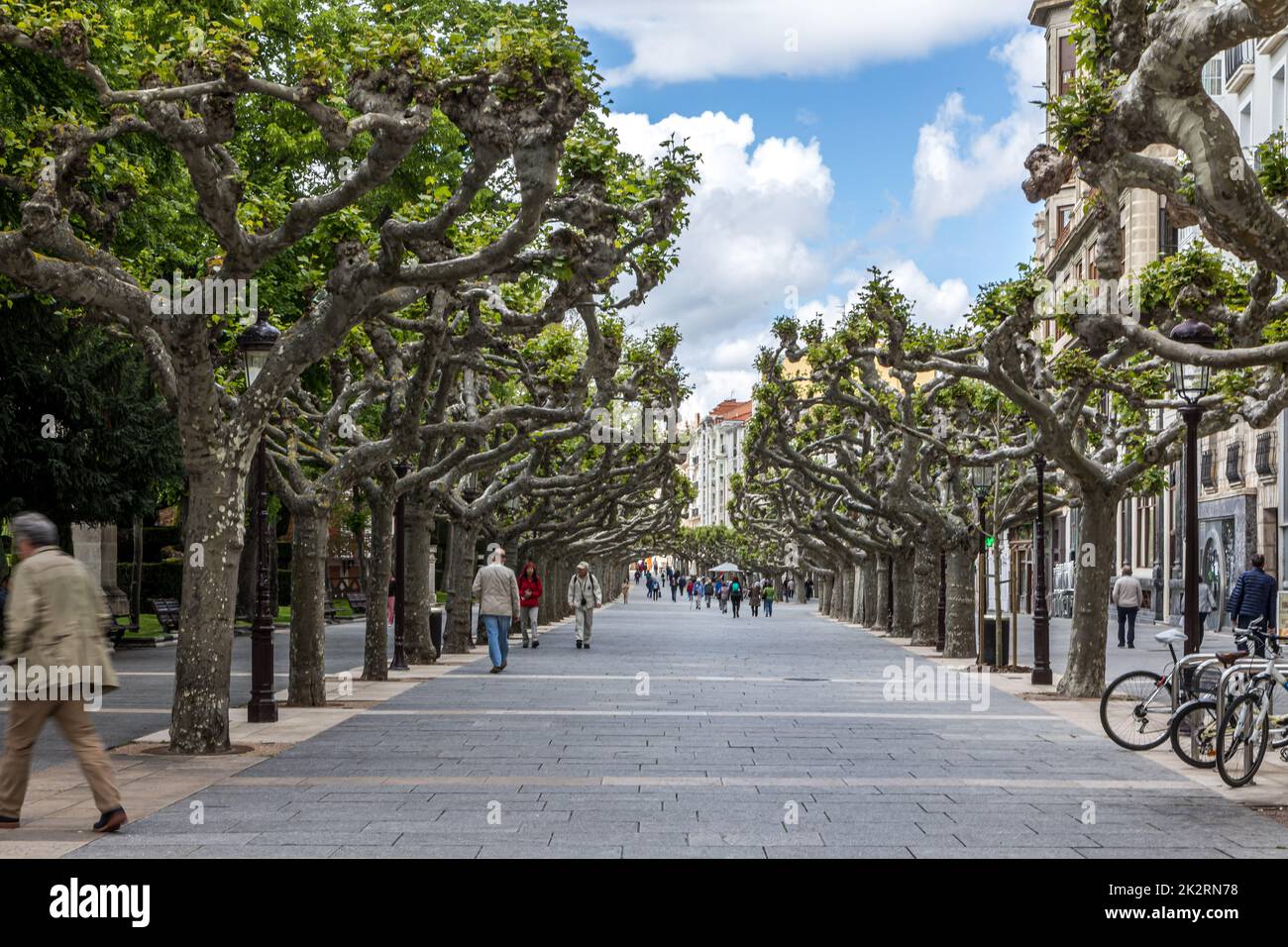 Paseo del Espolon, eine Fußgängerstraße mit Baumgrenze in Burgos, Spanien Stockfoto