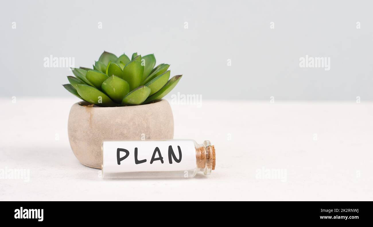 Kaktus mit dem Wort Plan auf einer Flasche stehend, grauer Hintergrund, minimalistischer Schreibtisch, Brainstorming für ein Start-up, kreativ sein, die Zukunft planen Stockfoto