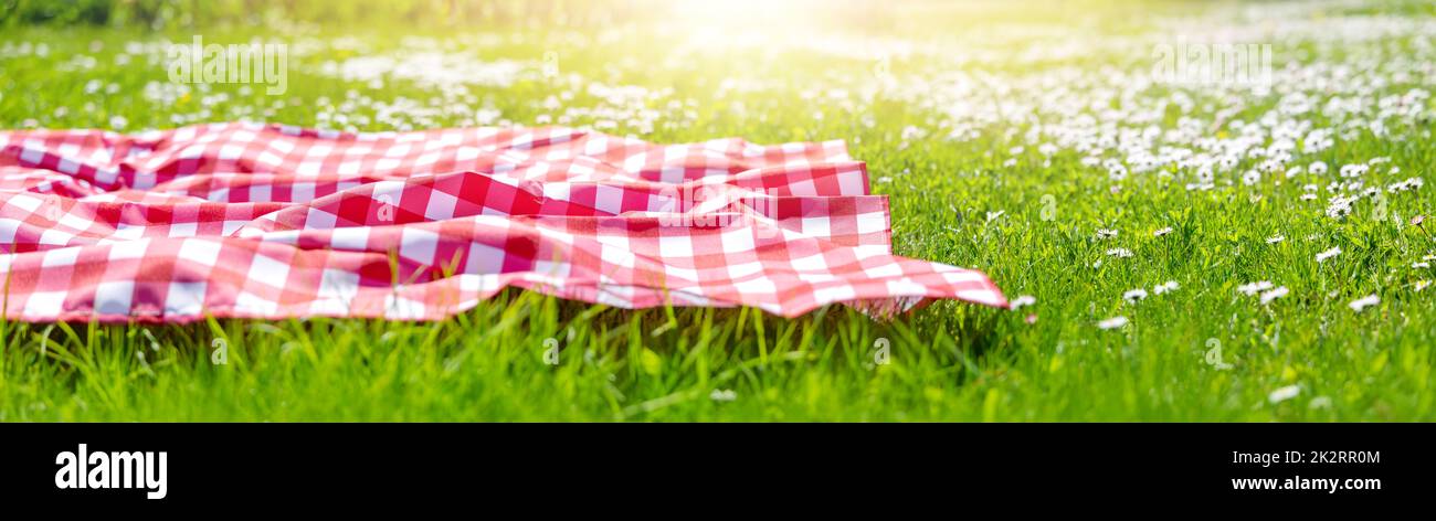 Picknick-Bettdecke auf der Wiese mit grünem Gras und Frühlingsblumen Stockfoto