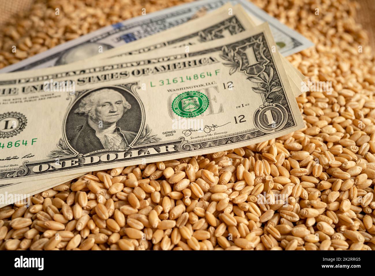 US-Dollar-Banknoten auf Getreideweizen, Global Food Crisis Concept. Stockfoto