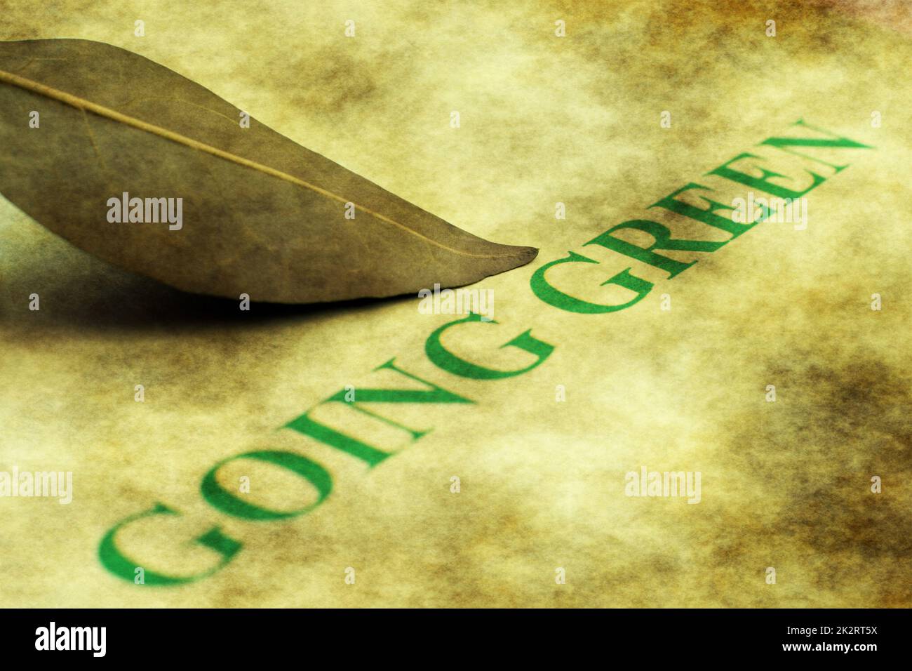 Gehendes Grün Stockfoto