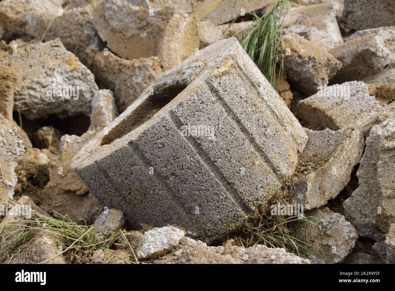 Die Wand der Pflanzenringe wurde mit einem Bagger abgerissen Stockfoto