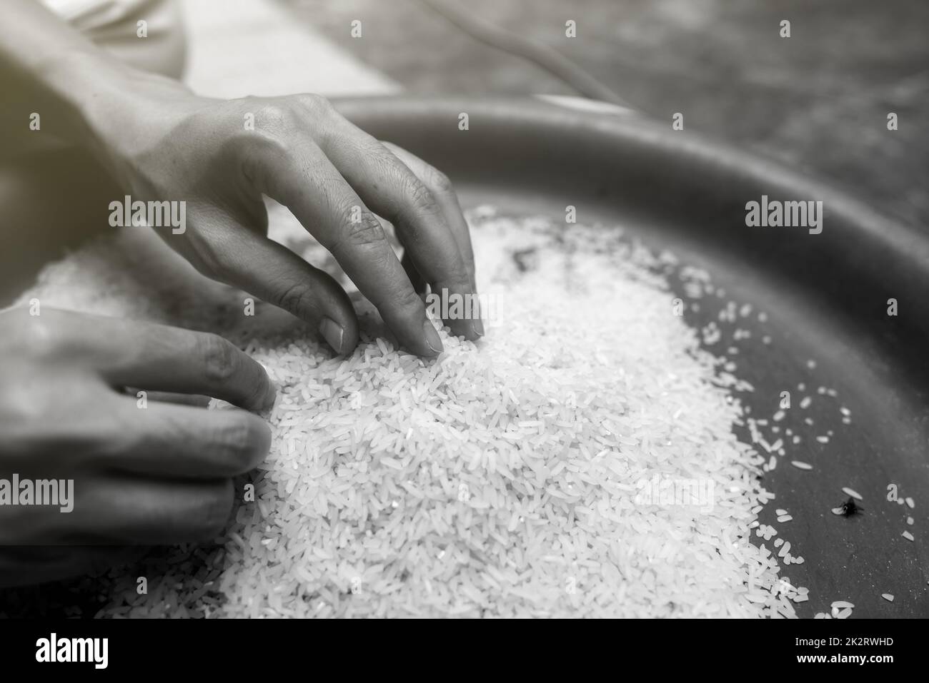 Das Konzept der globalen Nahrungsmittelkrise. Weibliche Hand, die Reis in einer Plastikschale hält. Ungekochter, gemahlener weißer Reis. Armes und Armutskonzept. Menschliche Katastrophe bei den Auswirkungen der globalen Nahrungsmittelkrise auf Klimawandel und Krieg. Stockfoto