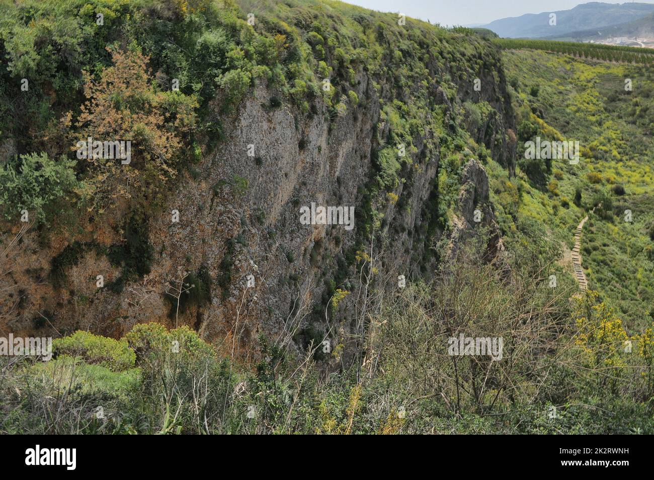 Ayun River Nature Reserve im Norden Israels Stockfoto